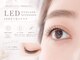 マリオ(MaRio)の写真/【八幡東区】LEDまつエク圧倒的なモチの良さで、印象的なお目元に!理想のボリューム感を叶えるサロン☆