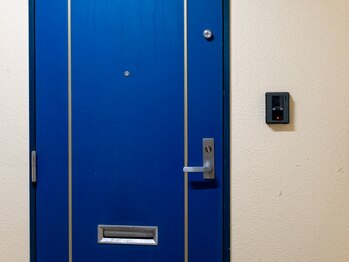 ウォールナット(Walnut)