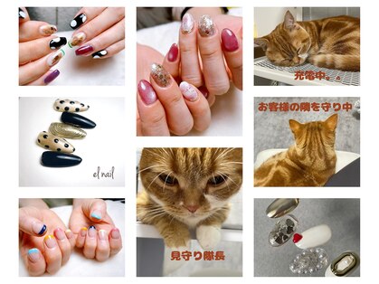 エルネイル(el nail)の写真