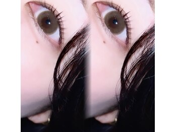 ミニョン(mignon.)