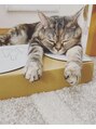 ジューシーアイ 成増店(Juicy Eye)&nbsp;実家で飼っている猫に癒されてます♪