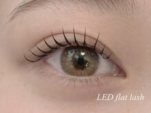 プラス サード(Plus 3rd)/LEDフラットラッシュ　　