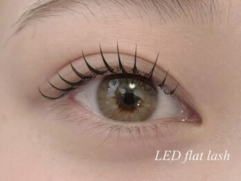 プラス サード(Plus 3rd)/LEDフラットラッシュ　　