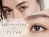 大人気★LEDフラットラッシュ100本×アイブロウ(HBL)