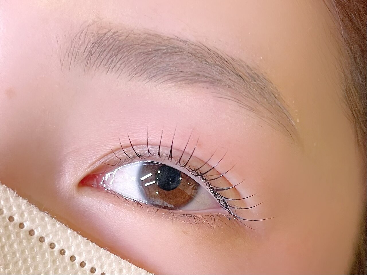 【２回目以降】美眉スタイリング　Wax除毛+トリミング 