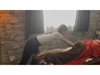 ガーベラ(Gerbera)/