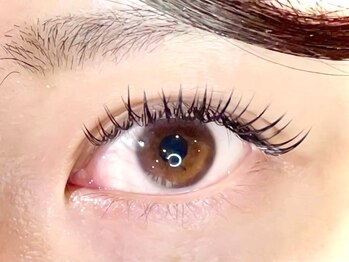 リリームーン(Li Lymoon)の写真/濃さと持ちを両立《ダブルフラット60束》フラットラッシュの軽やかさを活かし、ボリューム&立体感を実現♪