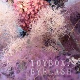 トイボックス(ToyBox.eyelash)