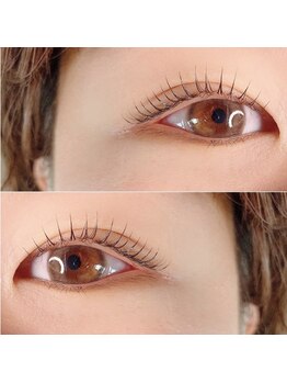 エルシー 金山店(LC)の写真/平日限定！まつげパーマ(パリジェンヌ)・アイブロウ¥3980◇素材・技術・空間に拘りずっと通えるサロン◎