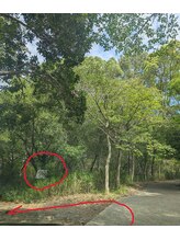 スイ(sui)/道順　8