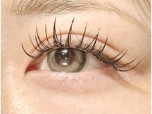 リグ(rig')/ダブルフラットラッシュ