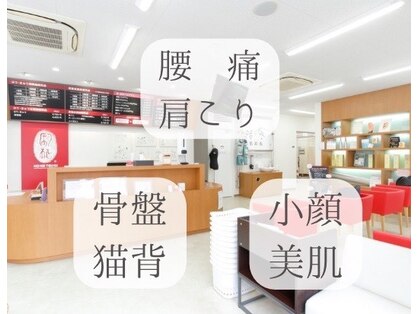 ほねつぎ市川はりきゅう接骨院/クー(kuu)の写真