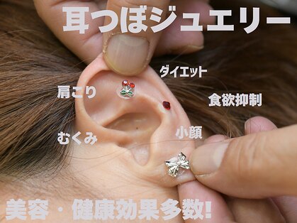 ダイジュ鍼灸接骨院の写真