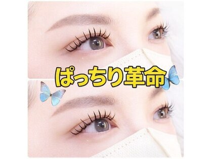 ベルキャット(Belle Cat)の写真