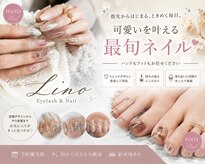 リノ(Lino)