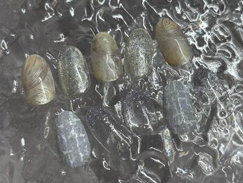 卒入ニュアンスデザイン♪