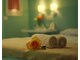 サロンドガーデン(salon de garden)の写真