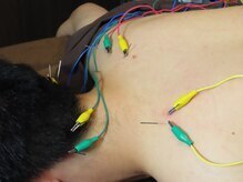 康泰苑鍼灸整体院の雰囲気（デスクワーク/腰痛/肩こり/巻き肩/鍼灸/整体/大塚/むくみ/冷え性）