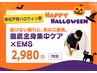 【新松戸院ハロウィン祭】重だるさ・抜けない疲れ徹底全身ケア+EMS◎70分 →