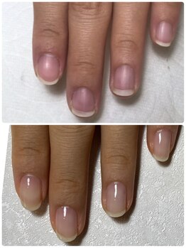 トレフル(Trefle)/8ヶ月の継続育成