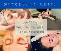 フェリース鍼灸院