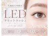 【圧倒的な持続力】★6/16限定★LEDフラットラッシュ100本¥5990~