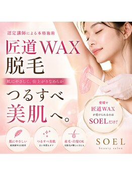 ソエル(SOEL)/匠道WAX美肌脱毛