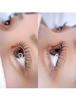 フィーヌ(Phine)/