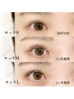 イト(ito)/ラッシュアディクト使用結果