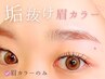 【眉カラー単品】セット&オプション追加がお得です◎4色あり