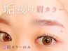 お試し★＼印象変わる／眉カラー単品♪SETメニューやオプション追加がお得◯