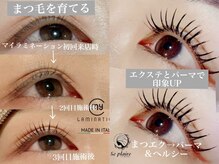 スプレール 水戸店の雰囲気（パリジェンヌ/まつげパーマ/マイラミ/アンドヘルシー/マツエク）