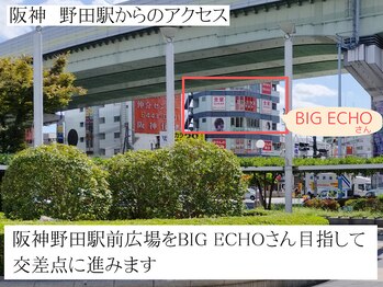 ヴィヴィエル 野田阪神店(viviell)/BIGECHOさんを目指し交差点に