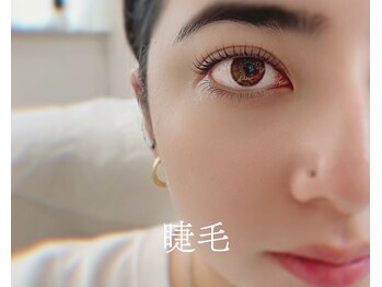 981/ 本町｜まつげパーマ（パリ）