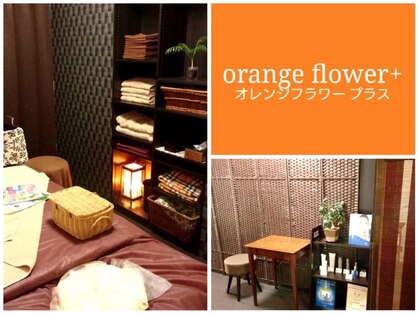 オレンジフラワー orange flowerの写真