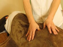 赤塚気龍整体院/地下鉄赤塚　下赤塚