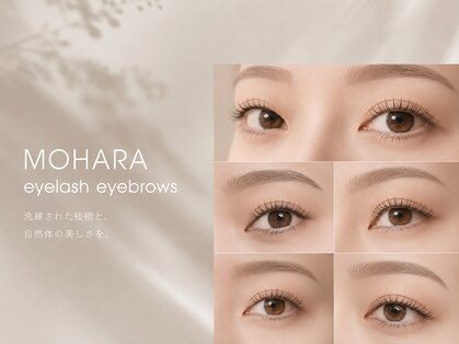 モハラ(MOHARA)の写真