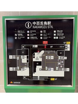 横関美容整体 横関鍼灸整骨 中百舌鳥 なかもず駅前院/横関美容整体院までの順路 1