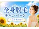 ケイ(K)の写真