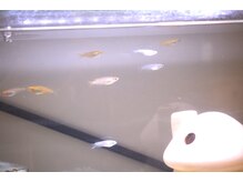 陽のひかり接骨院 整体院/当院の看板娘たち…！？