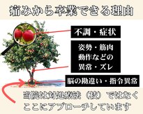 整体院 ヤモリの学校