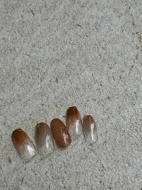 １０月定額デザイン　パラジェル