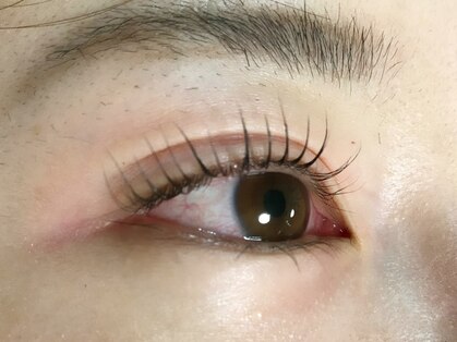 サリー(Sally)の写真