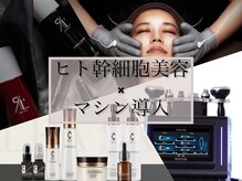 サロン ド メタセコイア(salon de Metasequoia)