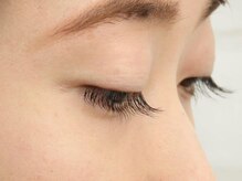 パティオアイラッシュ(Patio eyelash)/シングルラッシュ　セーブル上下