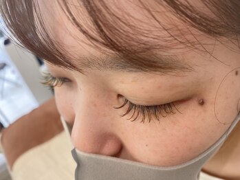 ジョリー(Jolie)/