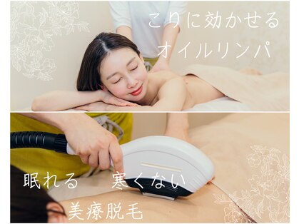 ミモザ(mimosa)の写真
