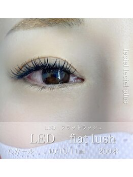 ルシエルプラス(le ciel+)/LED×フラット 200本