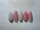 定額/シンプルコース