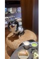 ココスターリー(Coco starry) ワンちゃん連れてのカフェもいきます♪